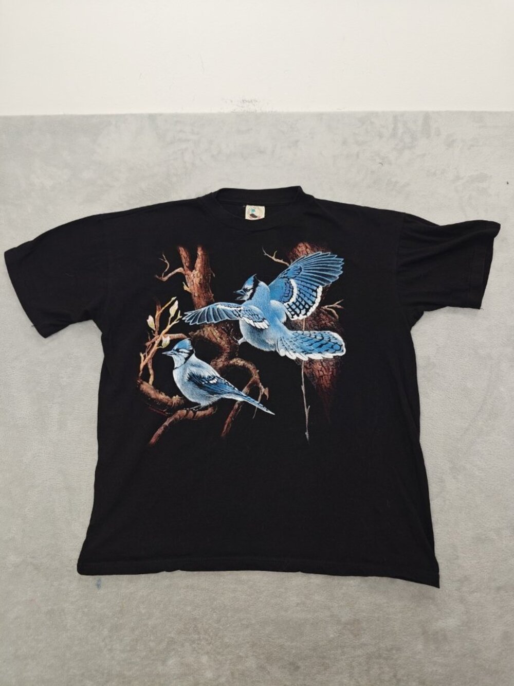 Blue Jay Graphic T-Shirt – Vintage Bird Tee for Nature Lovers & Birdwatchers L